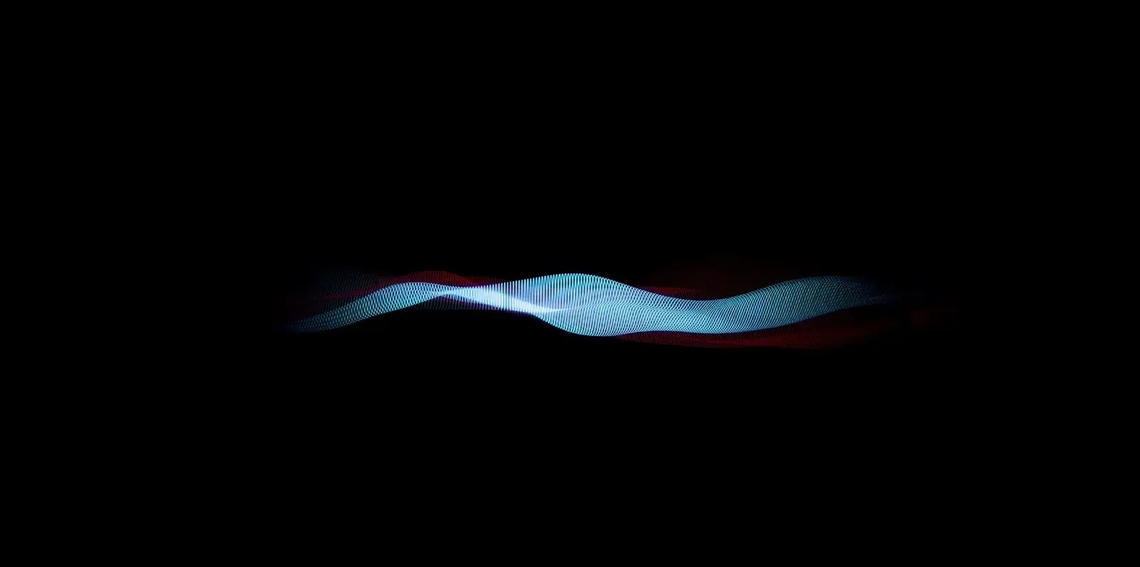 Voice Print waveform visual
